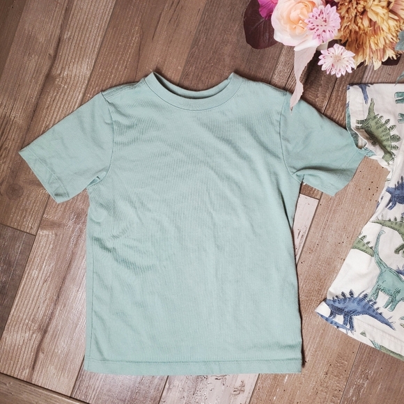 Boys Casual T-Shirt Bundle | Wonder Nation & Carter's | Size XS 4-5 and 5T | EUC - Picture 4 of 13